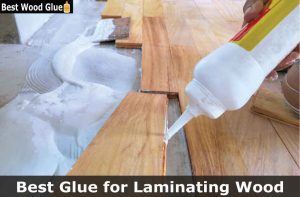 Best Glue for Laminating Wood