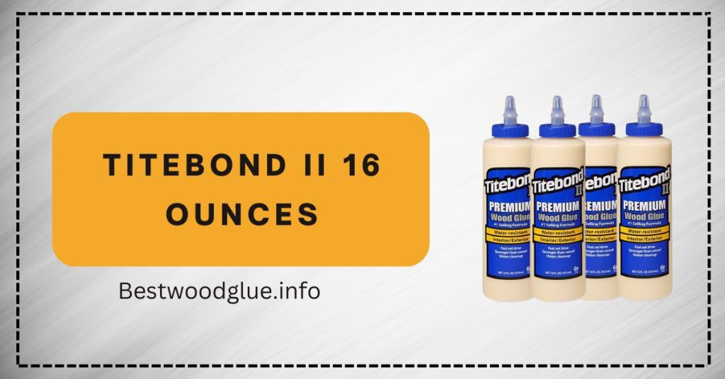 Titebond II 16 Ounces - Best Wood Glue