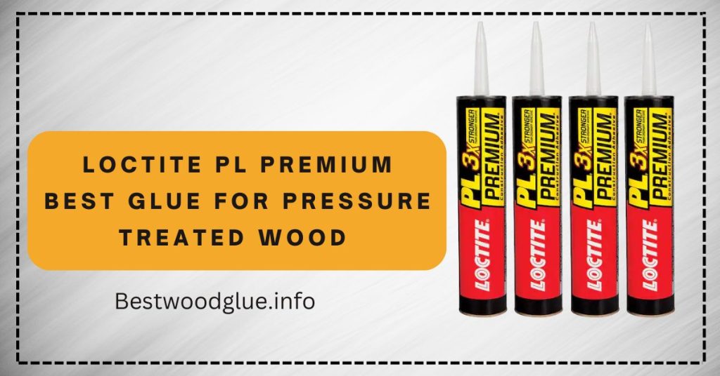 Loctite PL Premium Best Glue For Treated Wood